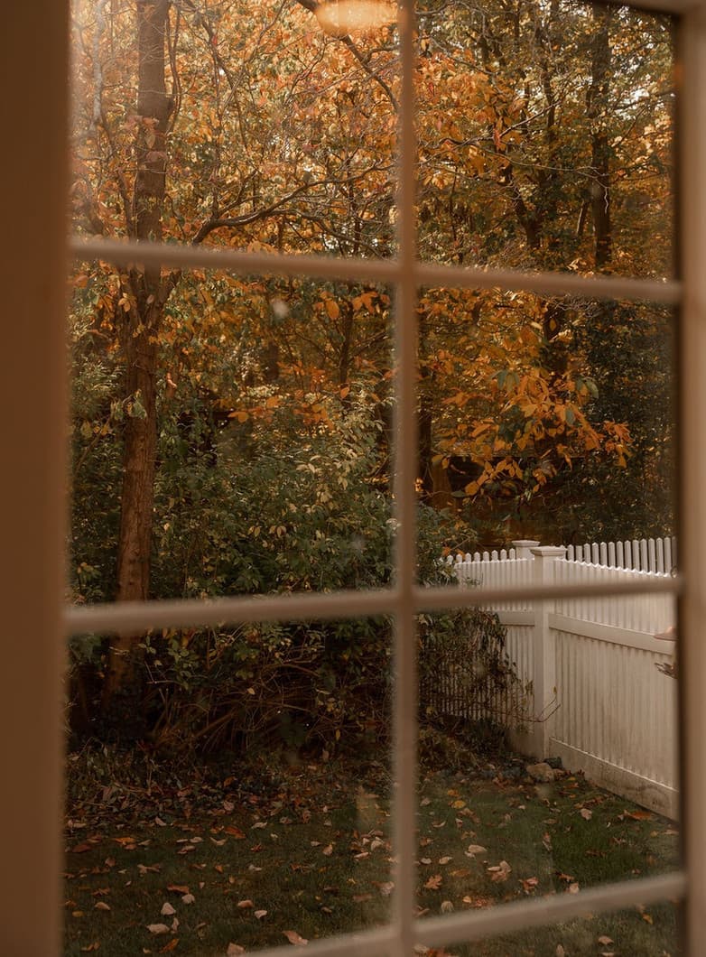 Autumn window scene
